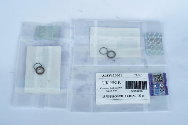 Common-Rail-Injector-Repair-Kits