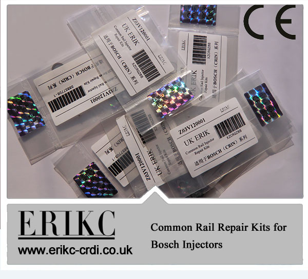 Common Rail Diesel Injector Repair Kits